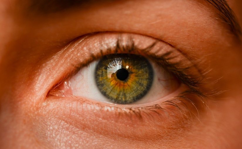Oczy to nadzwyczajny organ. To właśnie dzięki nim widzimy.